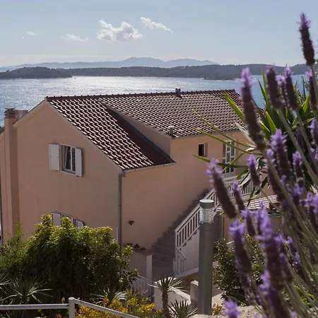 Anita Hvar Town