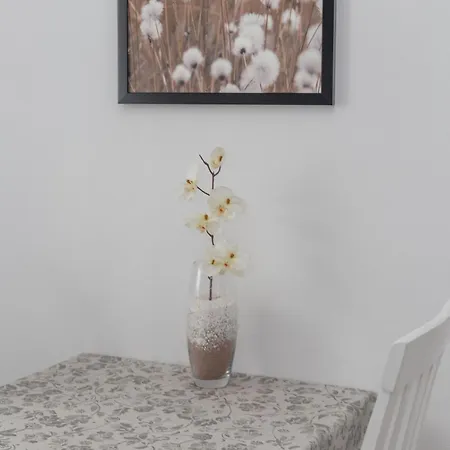 Apartment Anita